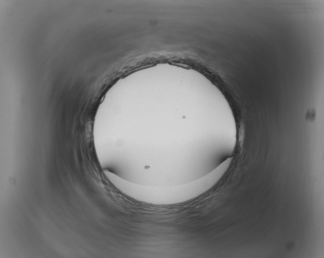 X0000113851492200910221407