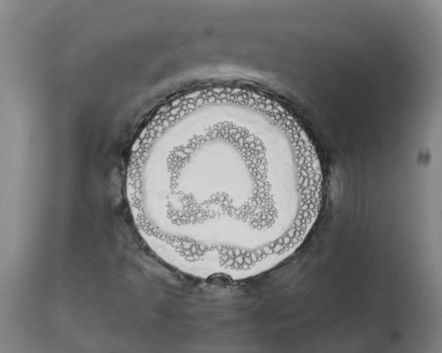 X0000113851493200910221407