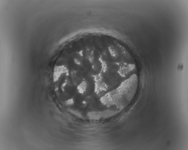 X0000113851494200910221407