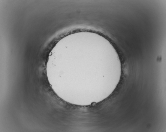 X0000113851495200910221407