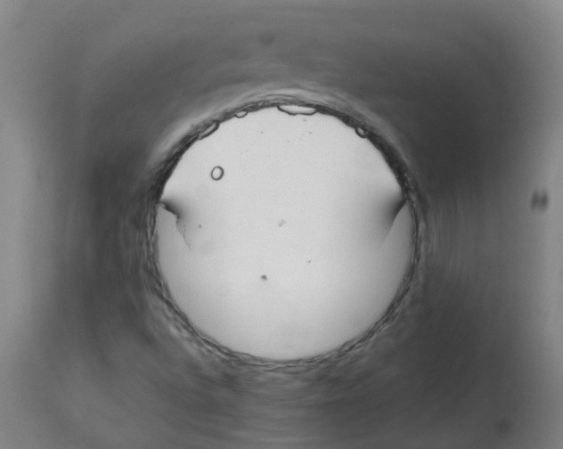 X0000113851496200910221407