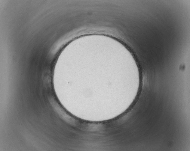 X0000113851498200910221407