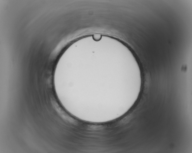 X0000113851499200910221407