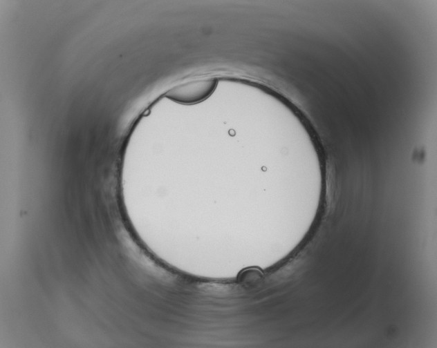 X0000113851500200910221407