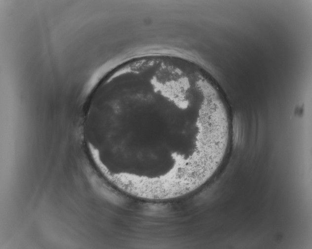 X0000113851501200910221407