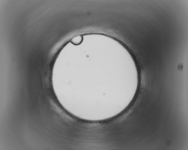 X0000113851502200910221407