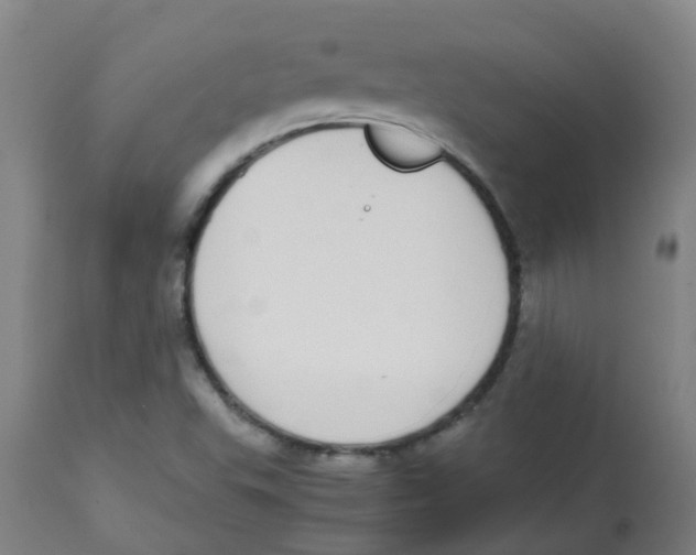 X0000113851503200910221407