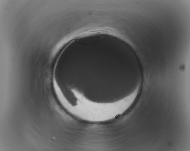 X0000113851506200910221407