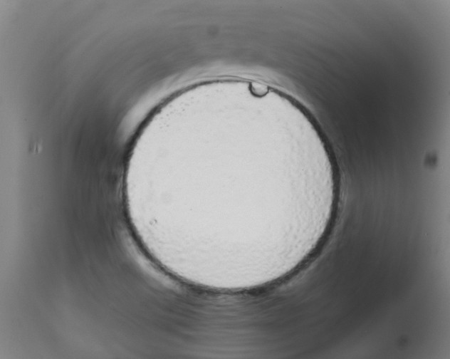 X0000113851507200910221407