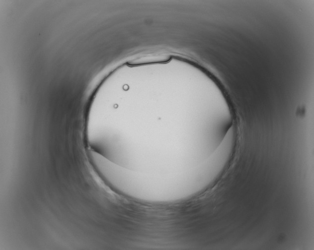 X0000113851508200910221407