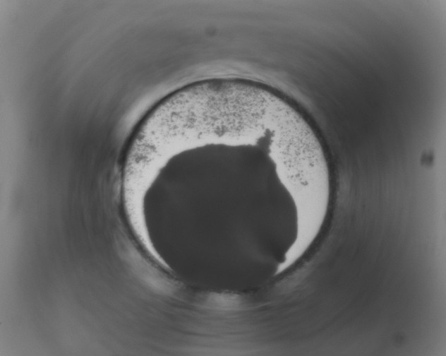 X0000113851509200910221407