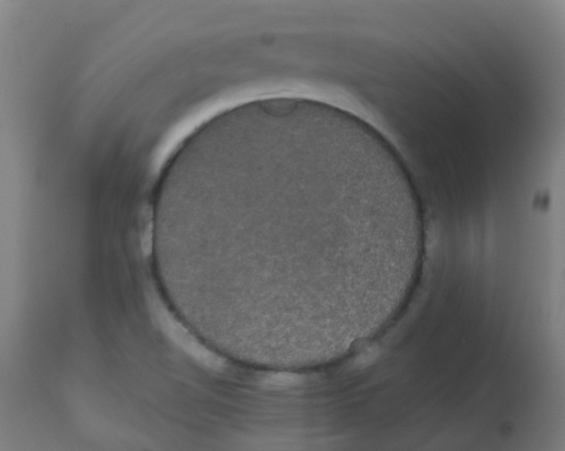 X0000113851510200910221407