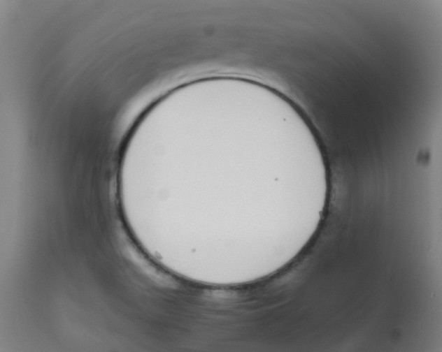 X0000113851511200910221407