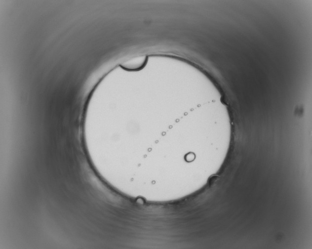 X0000113851512200910221407