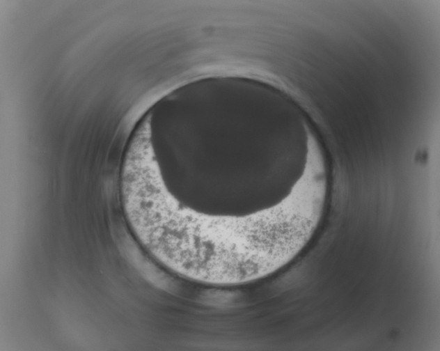 X0000113851513200910221407