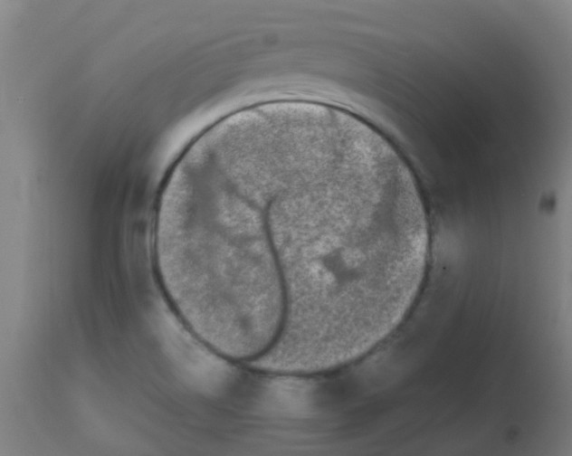 X0000113851514200910221407