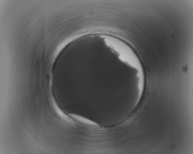 X0000113851515200910221407