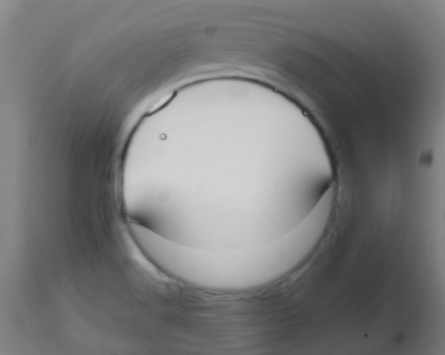 X0000113851516200910221407