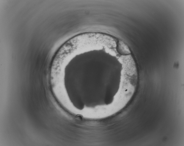 X0000113851517200910221407