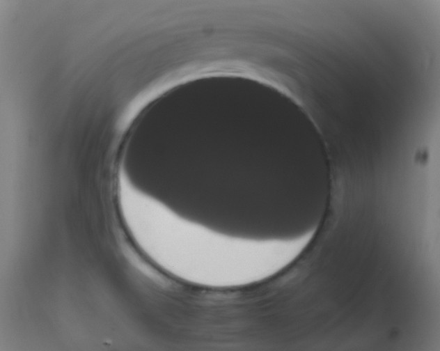 X0000113851519200910221407