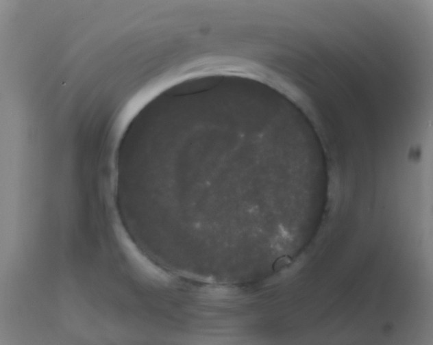 X0000113851520200910221407