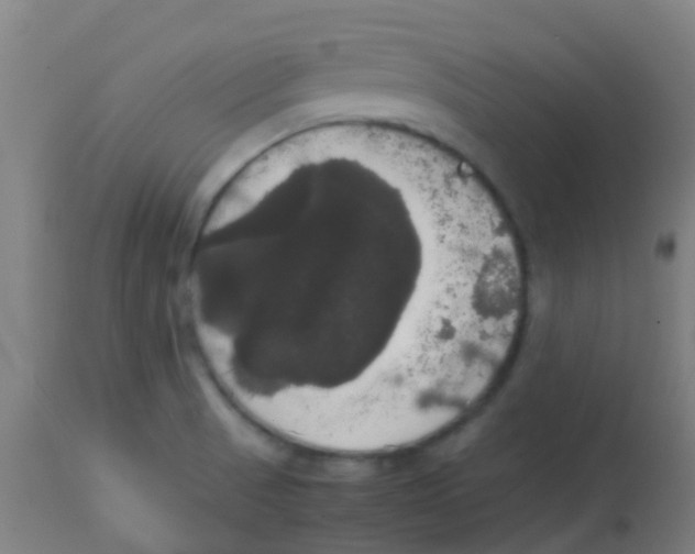 X0000113851521200910221407