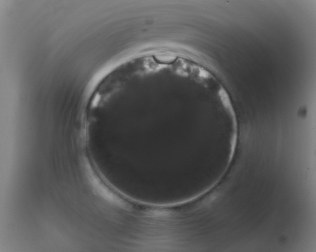 X0000113851522200910221407