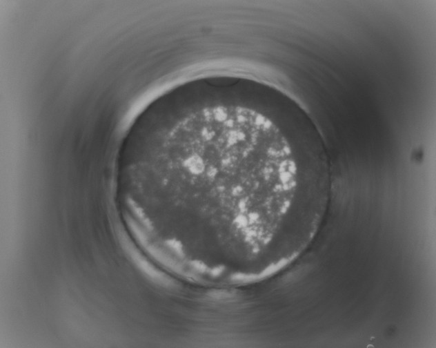 X0000113851523200910221407