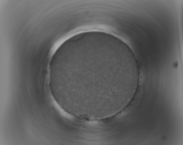 X0000113851524200910221407