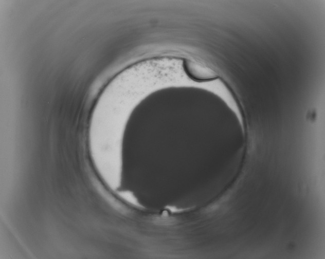 X0000113851525200910221407