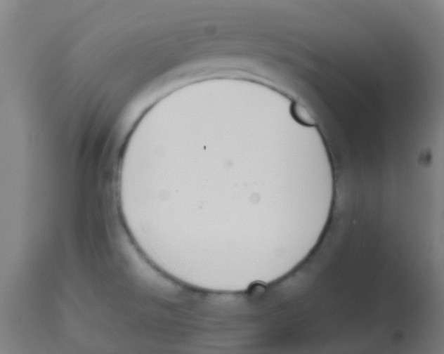 X0000113851526200910221407