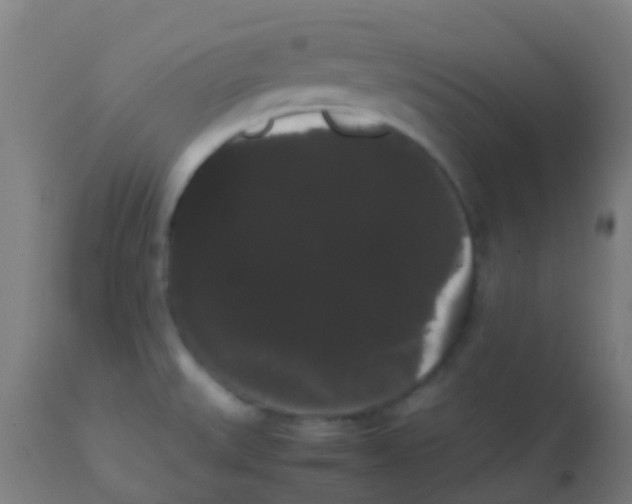 X0000113851527200910221407