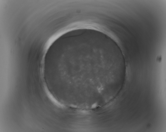 X0000113851528200910221407