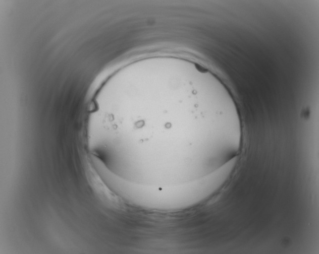 X0000113851530200910221408