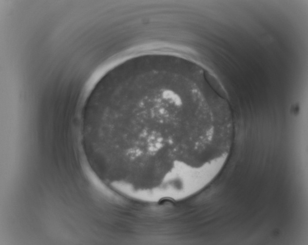 X0000113851531200910221408