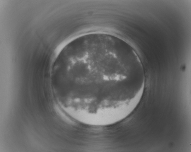 X0000113851532200910221408