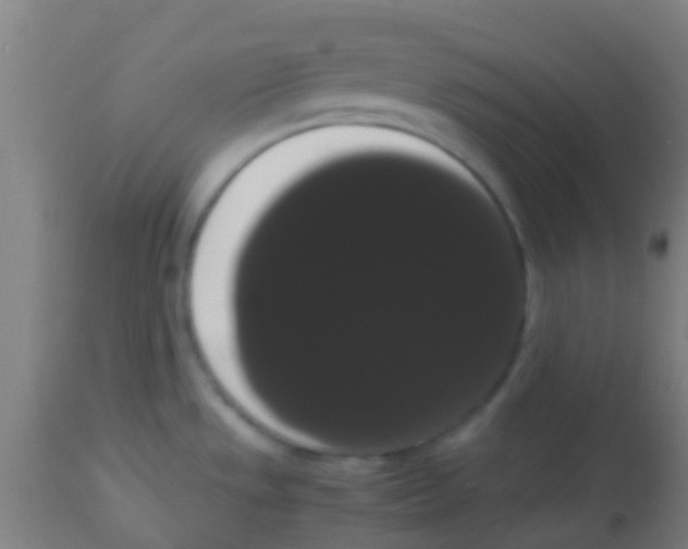 X0000113851533200910221408