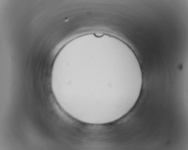 X0000113851534200910221408