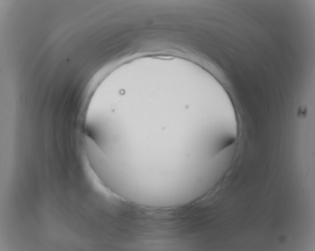 X0000113851536200910221408