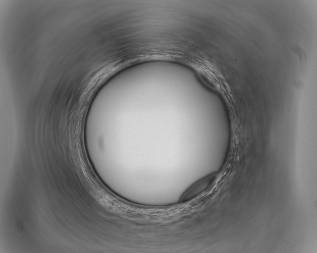 X0000113860001200909241035