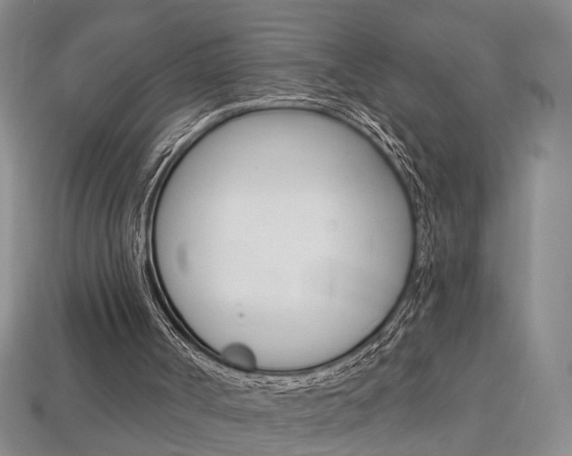 X0000113860002200909241035
