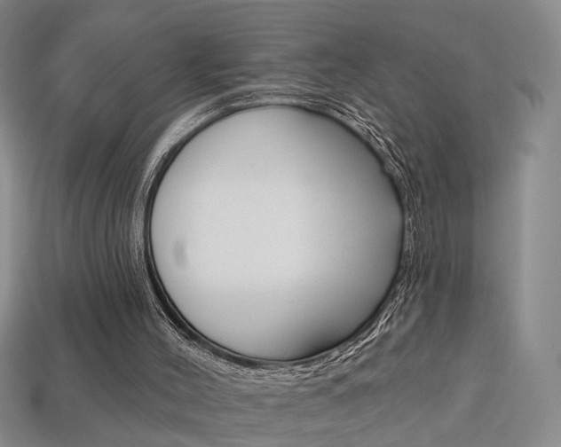 X0000113860004200909241035