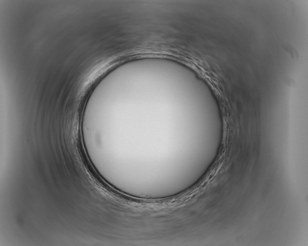 X0000113860005200909241035