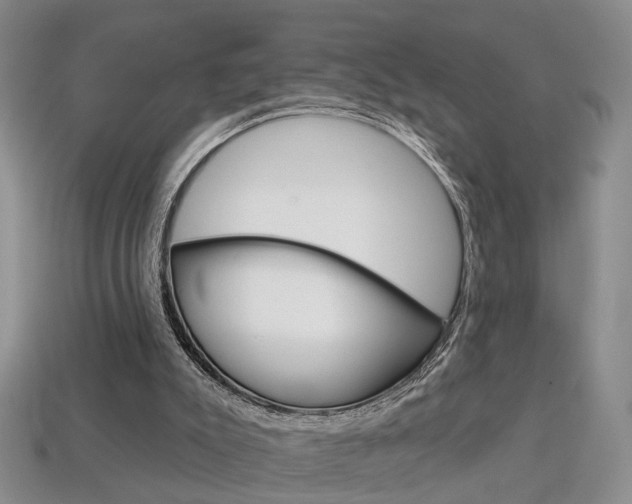X0000113860007200909241035