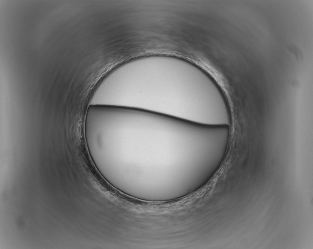 X0000113860009200909241035
