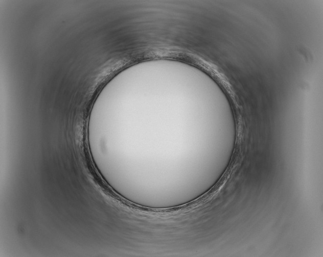 X0000113860010200909241035