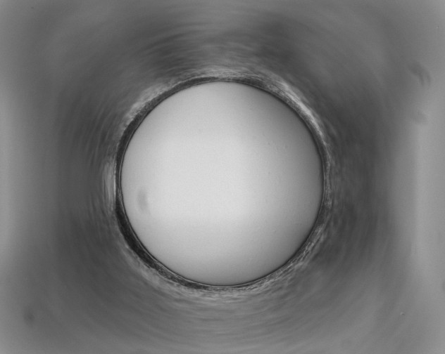 X0000113860011200909241035