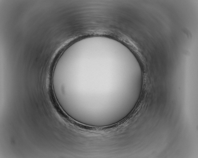 X0000113860012200909241035