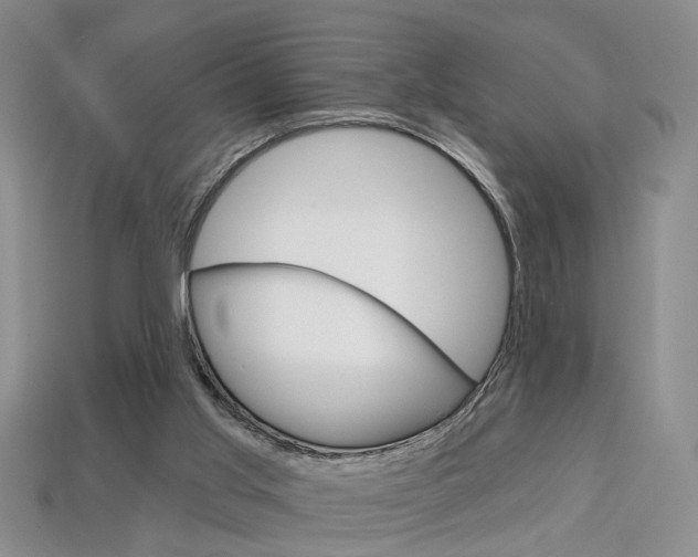 X0000113860013200909241035