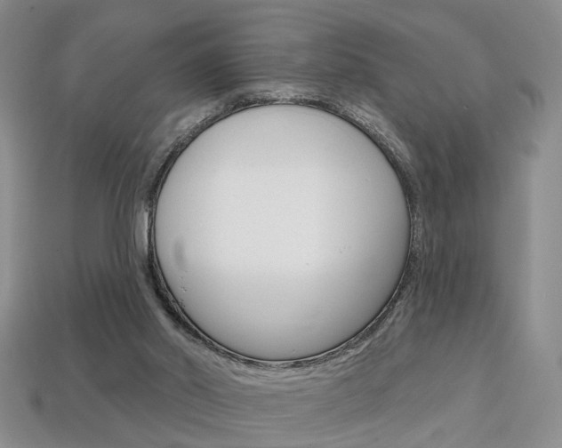 X0000113860014200909241035